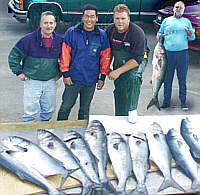 Miss Belmar Princess mates with some big blues in May 2001
