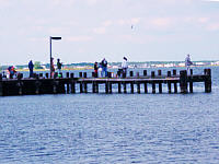Safe, Fun & Comfortable Family Fishing & Crabbing