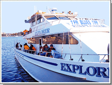 Explorer Fishing Sheepshead Bay