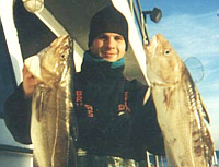 Blackfish, Seabass, Porgy & Ling