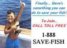 To Join the RFA call toll free 1-888-SAVE-FISH