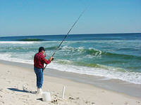 Great Surf & Pier Fishing